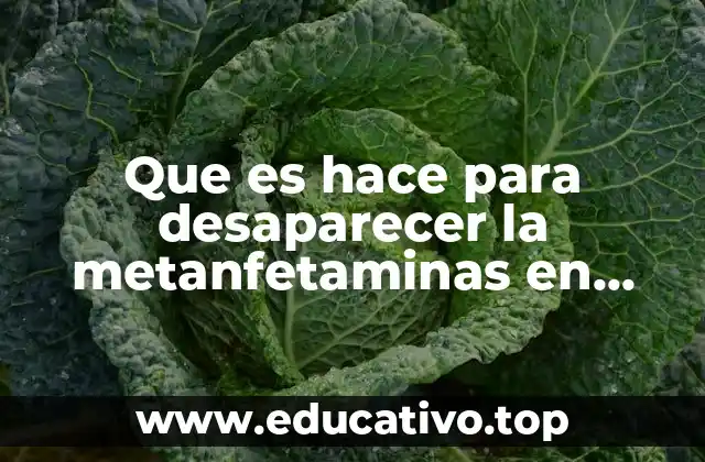 Que es hace para desaparecer la metanfetaminas en mexico