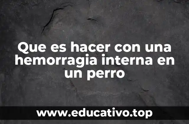 Que es hacer con una hemorragia interna en un perro