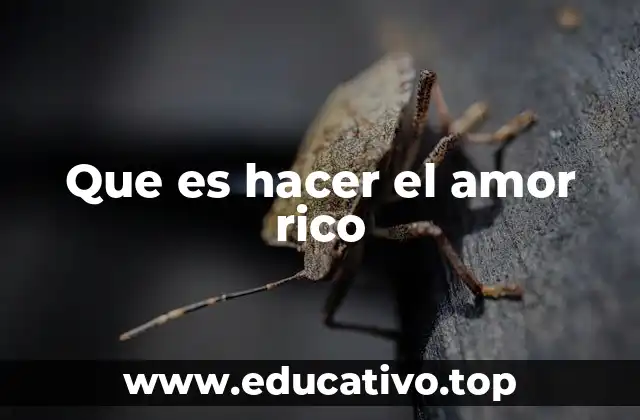 Que es hacer el amor rico