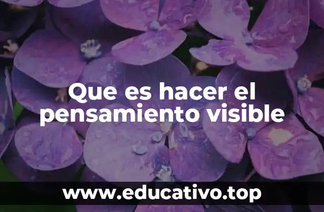 Que es hacer el pensamiento visible