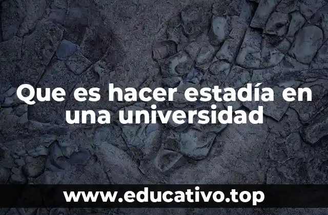 Que es hacer estadía en una universidad