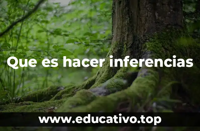 Que es hacer inferencias