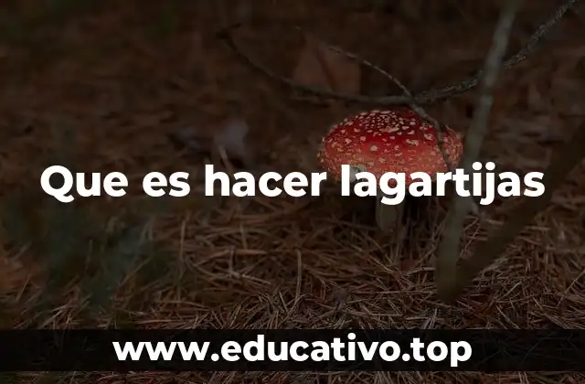 El impacto de las lagartijas en el acondicionamiento físico