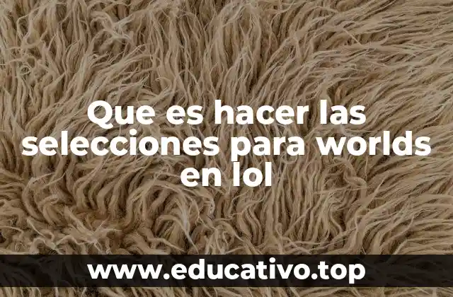 Cómo se organizan las selecciones para el torneo mundial