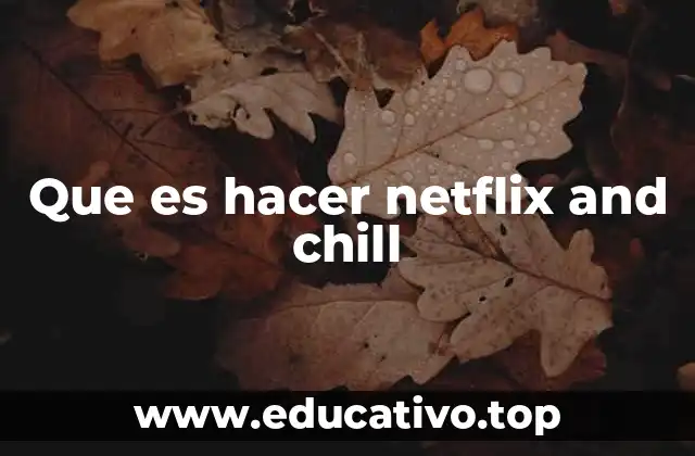 Que es hacer netflix and chill
