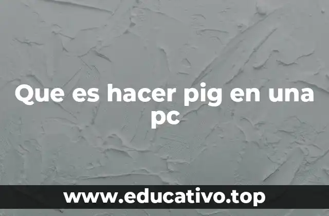 Que es hacer pig en una pc