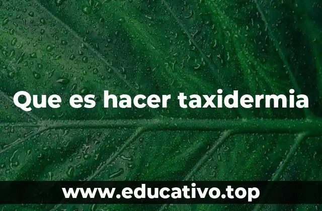 Que es hacer taxidermia