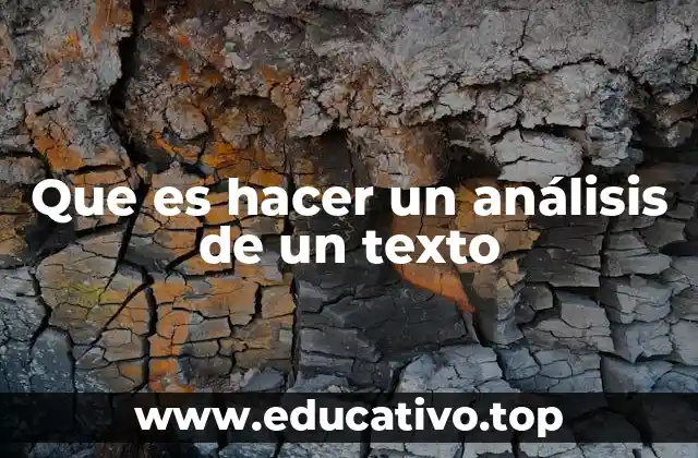 Que es hacer un análisis de un texto