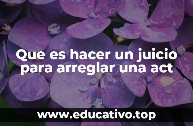 Que es hacer un juicio para arreglar una act