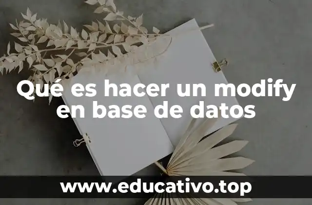 Qué es hacer un modify en base de datos