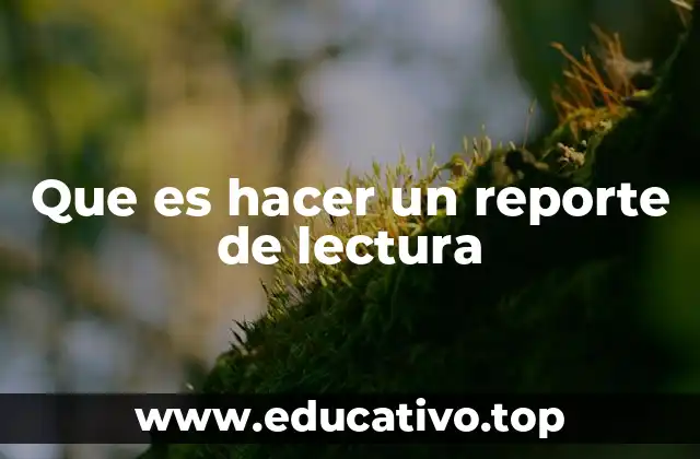 Que es hacer un reporte de lectura