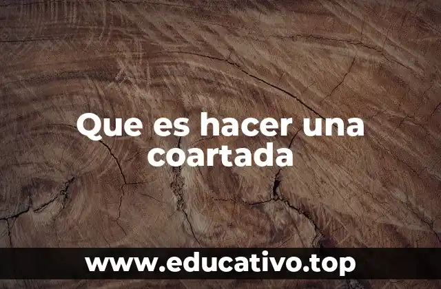 Que es hacer una coartada