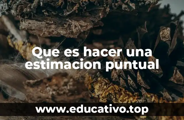 Que es hacer una estimacion puntual