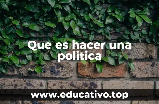 Que es hacer una politica