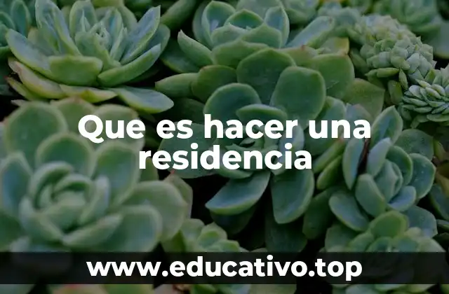 La importancia de la formación práctica en el desarrollo profesional