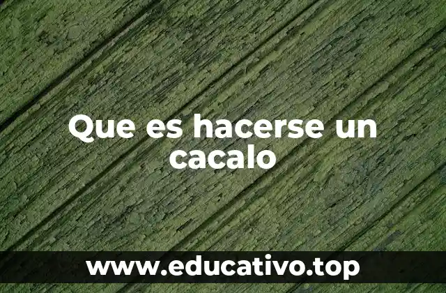 La expresión en el lenguaje cotidiano y su uso en distintos contextos