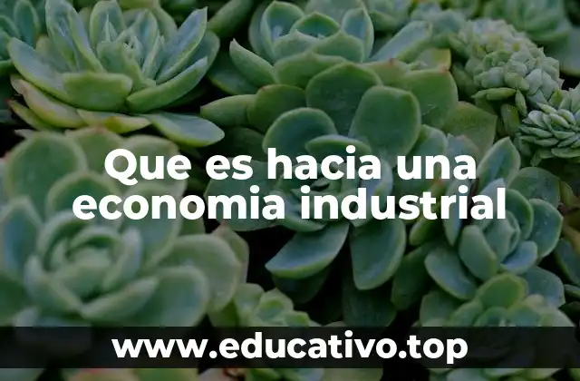 Que es hacia una economia industrial
