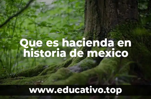 Que es hacienda en historia de mexico