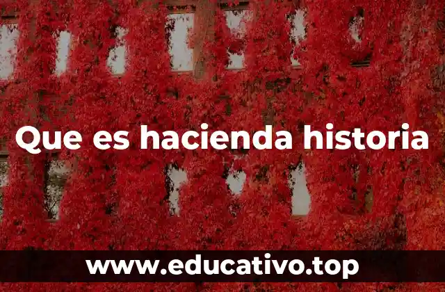 Que es hacienda historia