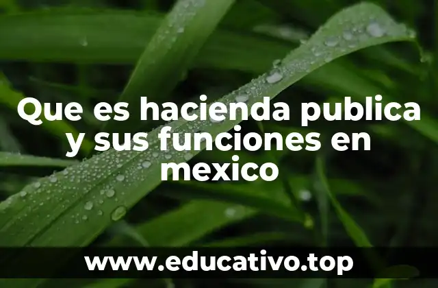 Que es hacienda publica y sus funciones en mexico