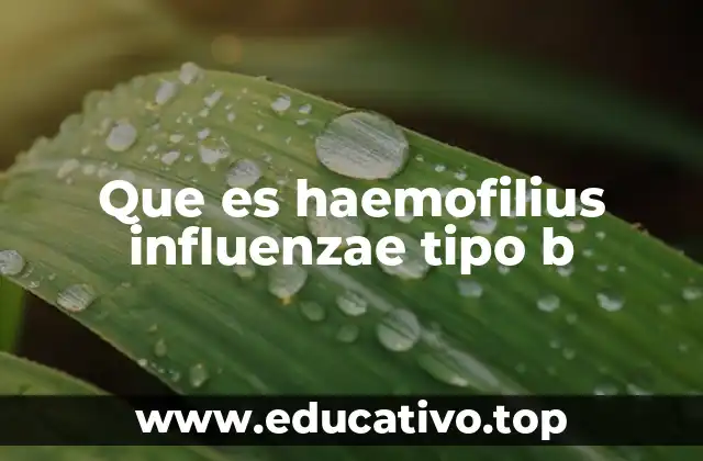 El impacto del Haemophilus influenzae tipo b en la salud pública