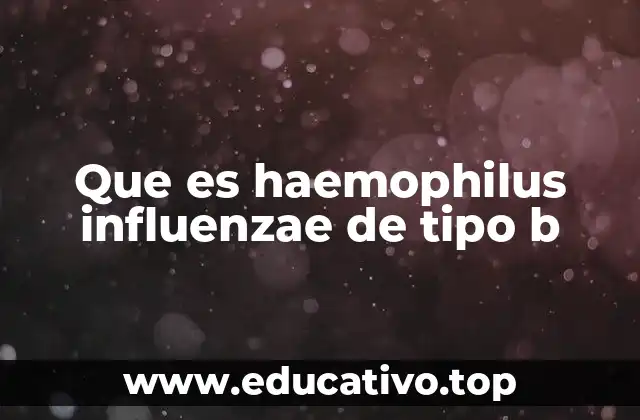 Que es haemophilus influenzae de tipo b
