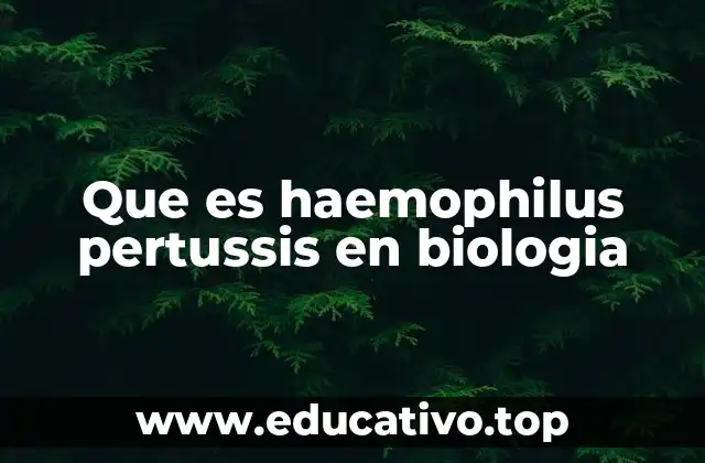 Que es haemophilus pertussis en biologia