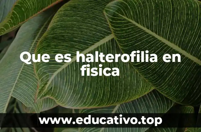 Que es halterofilia en fisica