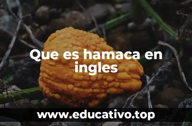 Que es hamaca en ingles