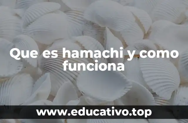 Que es hamachi y como funciona