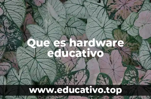 Que es hardware educativo