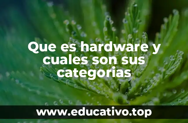 Que es hardware y cuales son sus categorias