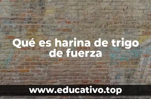 Características y diferencias con otras harinas