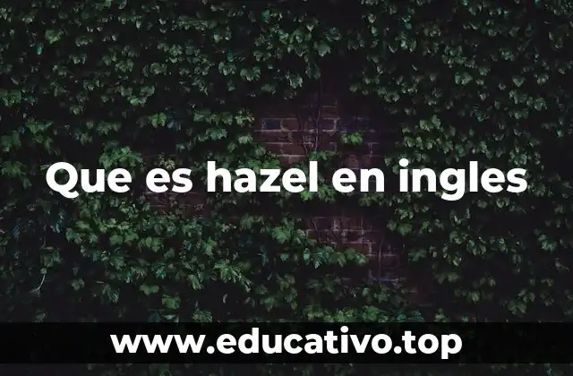 Que es hazel en ingles