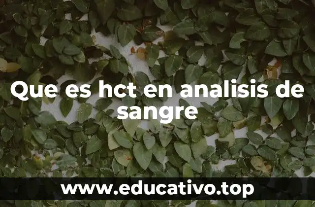 Que es hct en analisis de sangre
