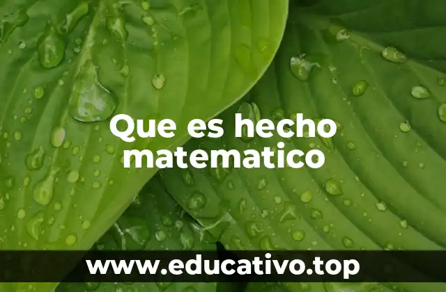Que es hecho matematico