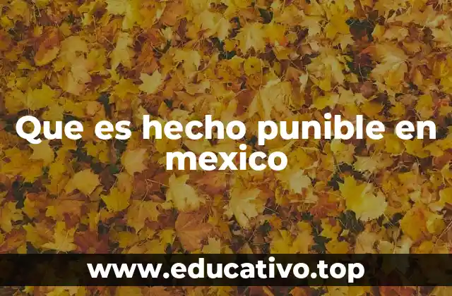 Que es hecho punible en mexico