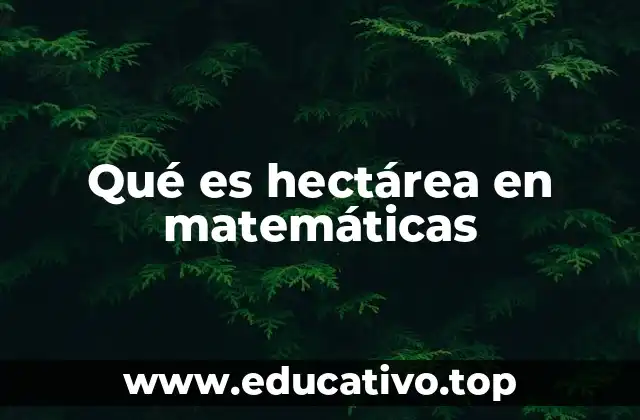 Qué es hectárea en matemáticas