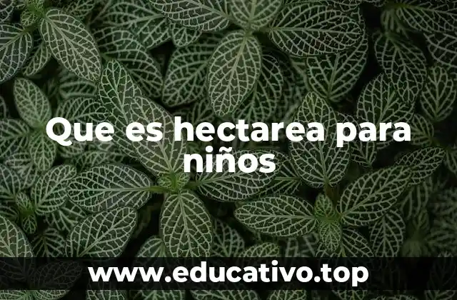 Que es hectarea para niños