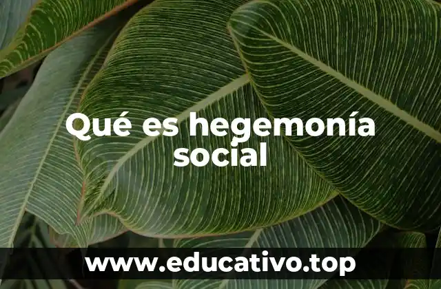 Qué es hegemonía social