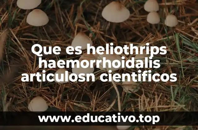 Que es heliothrips haemorrhoidalis articulosn cientificos