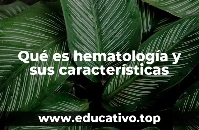Qué es hematología y sus características