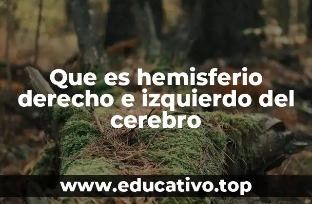 Que es hemisferio derecho e izquierdo del cerebro
