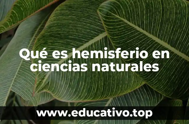 Qué es hemisferio en ciencias naturales
