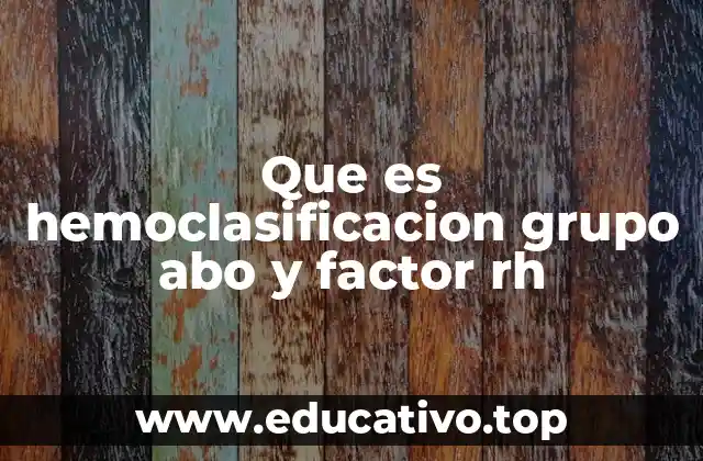 Que es hemoclasificacion grupo abo y factor rh