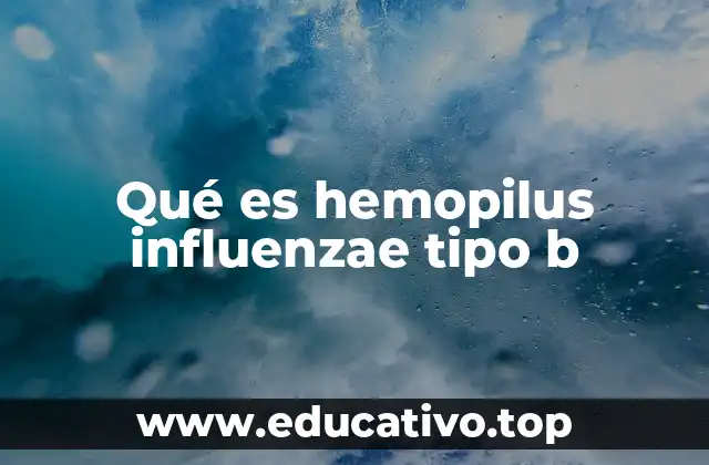 Qué es hemopilus influenzae tipo b