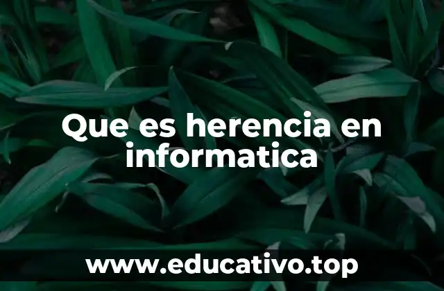 Que es herencia en informatica