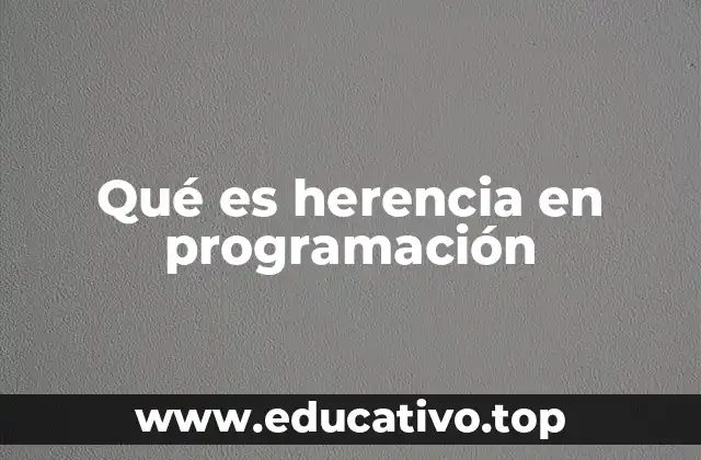 Qué es herencia en programación