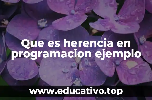 Que es herencia en programacion ejemplo