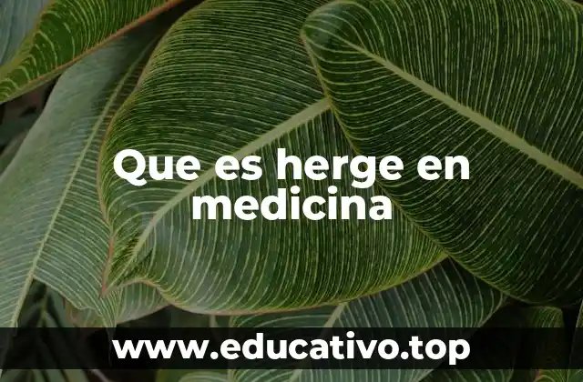 Que es herge en medicina